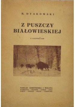 Z puszczy Białowieskiej, 1926 r.