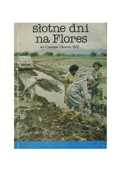 Słotne dni na Flores