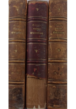 Deutsches Worterbuch , 1895 r. ,zestaw 3 książek