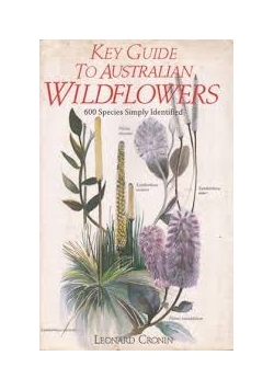 Wildflowers