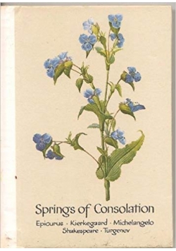 Springs of Consolation, miniatura