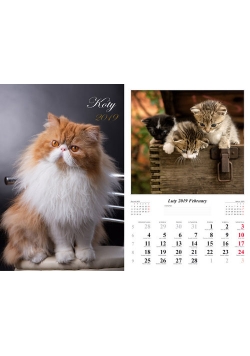 Kalendarz 2019 wieloplanszowy Koty