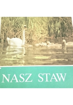 Nasz staw