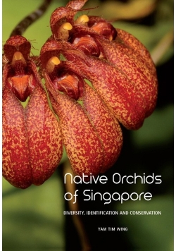 Native orchids of Singapore
