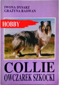 Collie owczarek szkocki