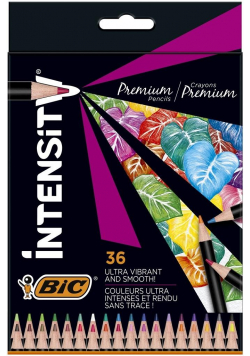Kredki ołówkowe Intensity Premium 36 kolorów BIC