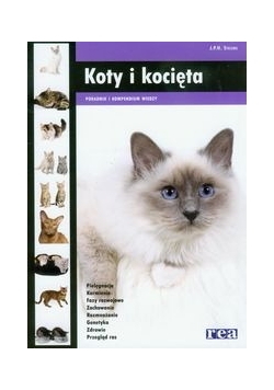 Koty i kocięta Poradnik i kompendium wiedzy