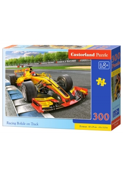Puzzle Racing Bolide on Track 300