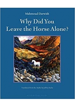Why Did You Leave the Horse Alone?