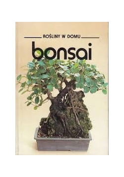 Rośliny w domu, bonsai