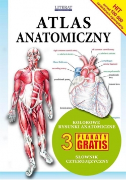 Atlas anatomiczny, Nowa