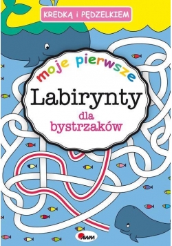 Kredką i pędzelkiem Moje pierwsze labirynty dla...
