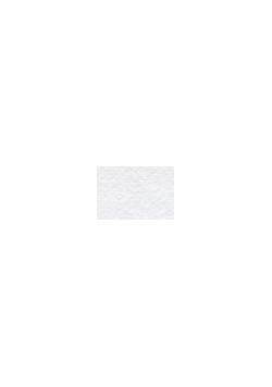 Filc dekoracyjny biały (10szt) FOLIA PAPER