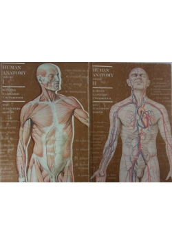 Human Anatomy ,Tom I do II