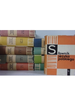 Słownik języka polskiego, 10 tomów