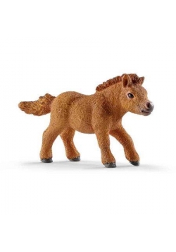 Źrebię Szetlandzkie mini