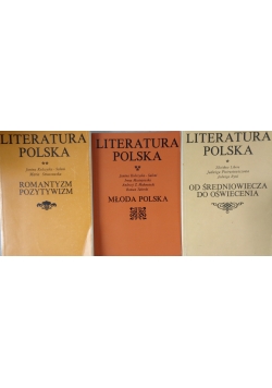 Literatura polska zestaw 3 książek