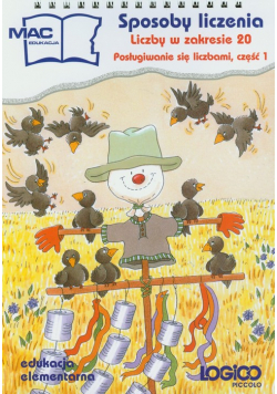 Logico Piccolo: Sposoby liczenia