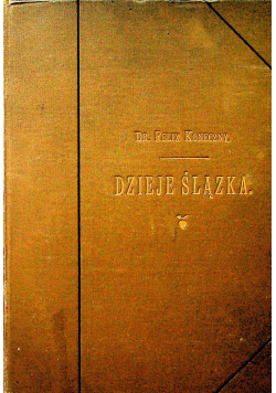 Dzieje Ślązka ozdobione licznymi obrazkami 1897r