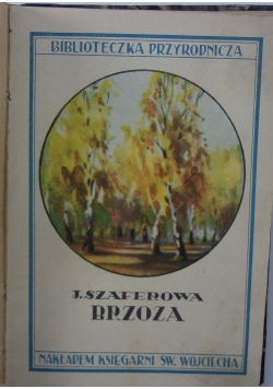Brzoza, 1933 r.