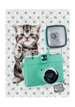 Błyszczący pamiętnik Studio Pets Kot