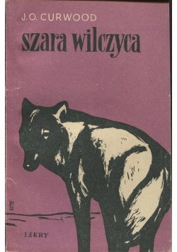 Szara wilczyca