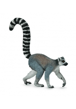 Ring-Tailed Lemur