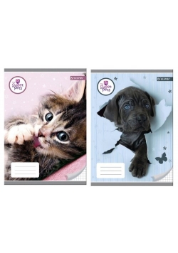 Zeszyt A5 w kratkę 32 kartki Sweet Pets 10 sztuk
