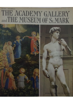 The academy gallery and the museum of st. Mark