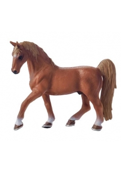 Koń American Saddlebred