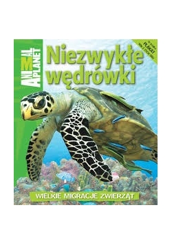 Niezwykłe wędrówki