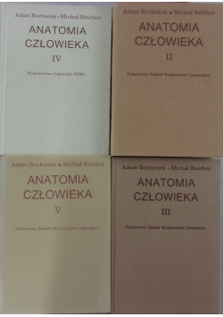 Anatomia człowieka zestaw 4 książek