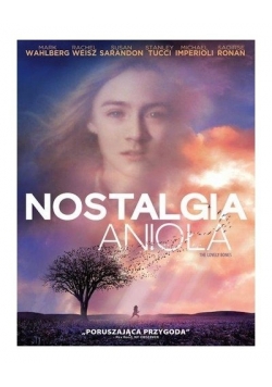 Nostalgia Anioła, DVD, nowa