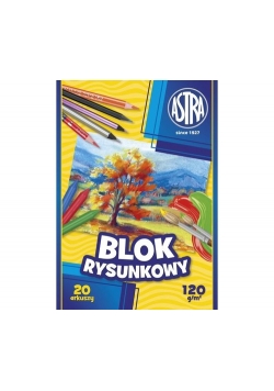 Blok rysunkowy A4 20 arkuszy 10 sztuk