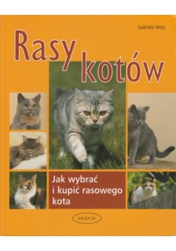 Rasy kotów