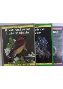 Ptaki, zestaw 3 książek