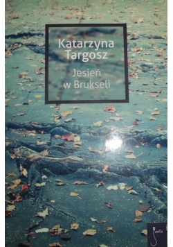 Jesień w Brukseli