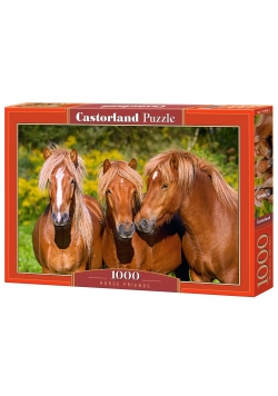 Puzzle 1000 Przyjaciele CASTOR