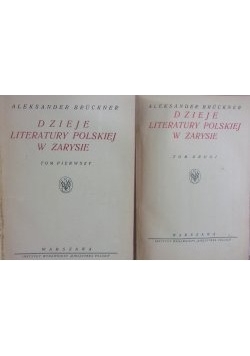 Dzieje literatury polskiej w zarysie, t. I-II,  1924 r.