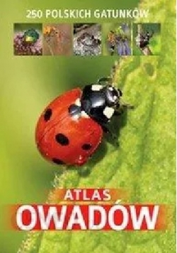 Atlas owadów