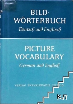 Picture vocabulary