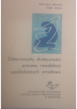 Determinanty skuteczności procesu rewalidacji upośledzonych umysłowo