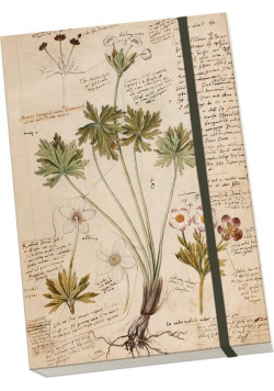 Notatnik ozdobny A5 STNOTE 93 Anno 1550