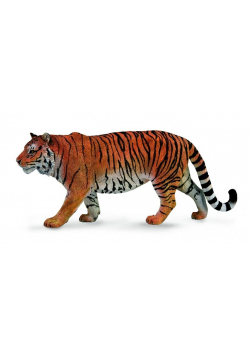 Tygrys syberyjski