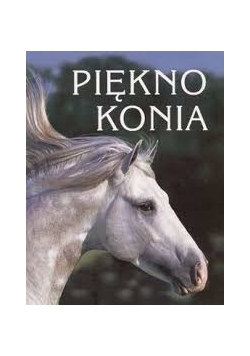 Piękno Konia