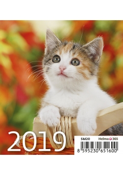 Kalendarz biurkowy Mini Kotki 2019 10 sztuk