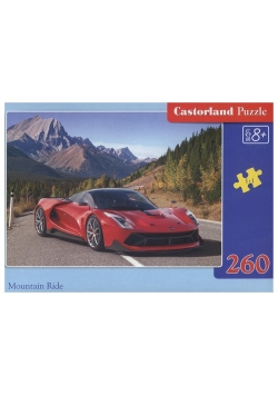 Puzzle Mountain Ride 260