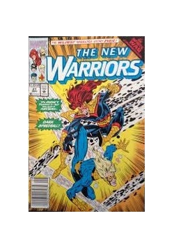 The new warriors, vol 1, no. 27