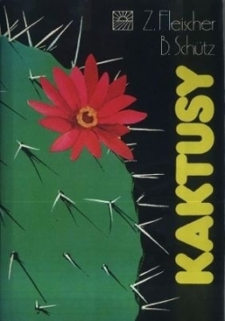 Kaktusy