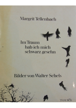 Im Traum hab ich mich schwarz gesehn